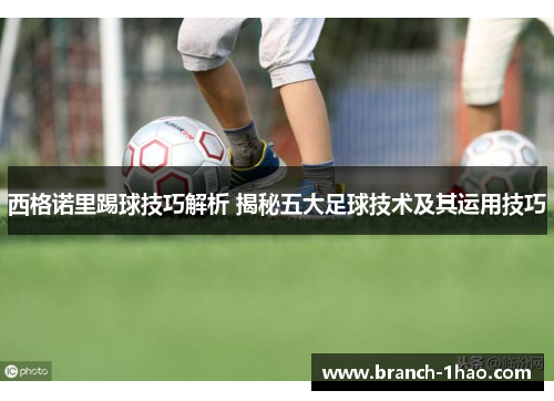 西格诺里踢球技巧解析 揭秘五大足球技术及其运用技巧