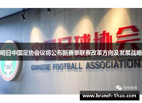 明日中国足协会议将公布新赛季联赛改革方向及发展战略 明日中国足协会议将公布新赛季联赛改革方向及发展战略