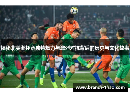 揭秘北美洲杯赛独特魅力与激烈对抗背后的历史与文化故事