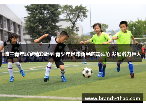 波兰青年联赛精彩纷呈 青少年足球新星崭露头角 发展潜力巨大 波兰青年联赛精彩纷呈 青少年足球新星崭露头角 发展潜力巨大