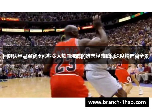 回顾法甲冠军赛季那些令人热血沸腾的难忘经典瞬间深度精选篇全景