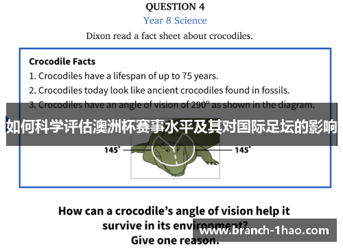 如何科学评估澳洲杯赛事水平及其对国际足坛的影响