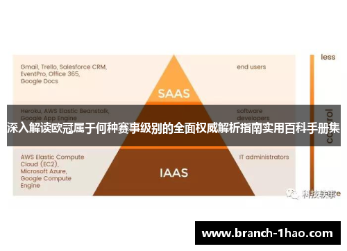 深入解读欧冠属于何种赛事级别的全面权威解析指南实用百科手册集