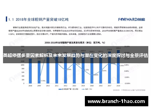 英超停摆多重因素解析及未来发展趋势与潜在变化的深度探讨与全景评估