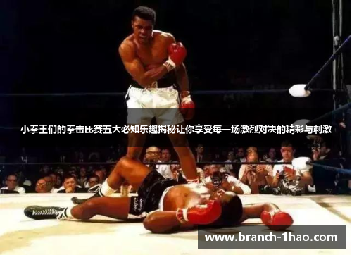 小拳王们的拳击比赛五大必知乐趣揭秘让你享受每一场激烈对决的精彩与刺激