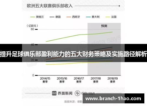提升足球俱乐部盈利能力的五大财务策略及实施路径解析 提升足球俱乐部盈利能力的五大财务策略及实施路径解析