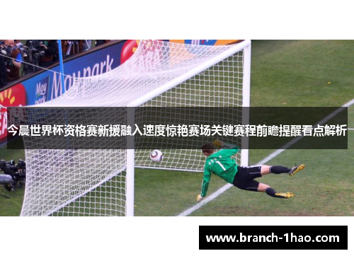 今晨世界杯资格赛新援融入速度惊艳赛场关键赛程前瞻提醒看点解析 今晨世界杯资格赛新援融入速度惊艳赛场关键赛程前瞻提醒看点解析