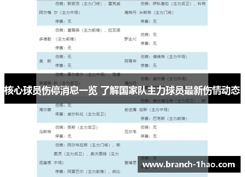 核心球员伤停消息一览 了解国家队主力球员最新伤情动态 核心球员伤停消息一览 了解国家队主力球员最新伤情动态