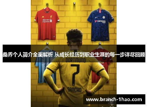 桑乔个人简介全面解析 从成长经历到职业生涯的每一步详尽回顾
