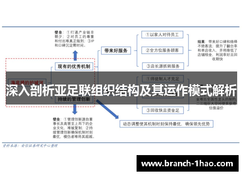 深入剖析亚足联组织结构及其运作模式解析 深入剖析亚足联组织结构及其运作模式解析