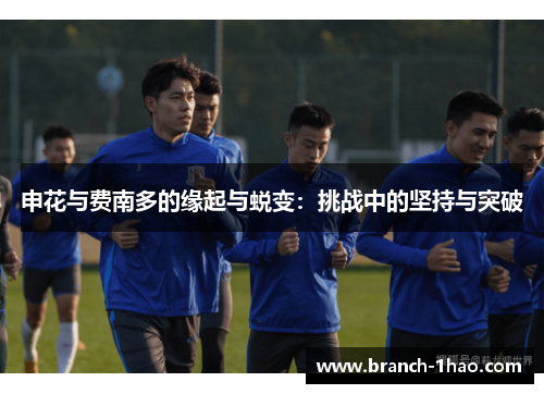 申花与费南多的缘起与蜕变：挑战中的坚持与突破