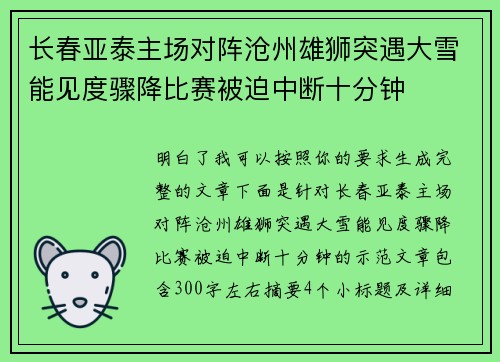 长春亚泰主场对阵沧州雄狮突遇大雪能见度骤降比赛被迫中断十分钟